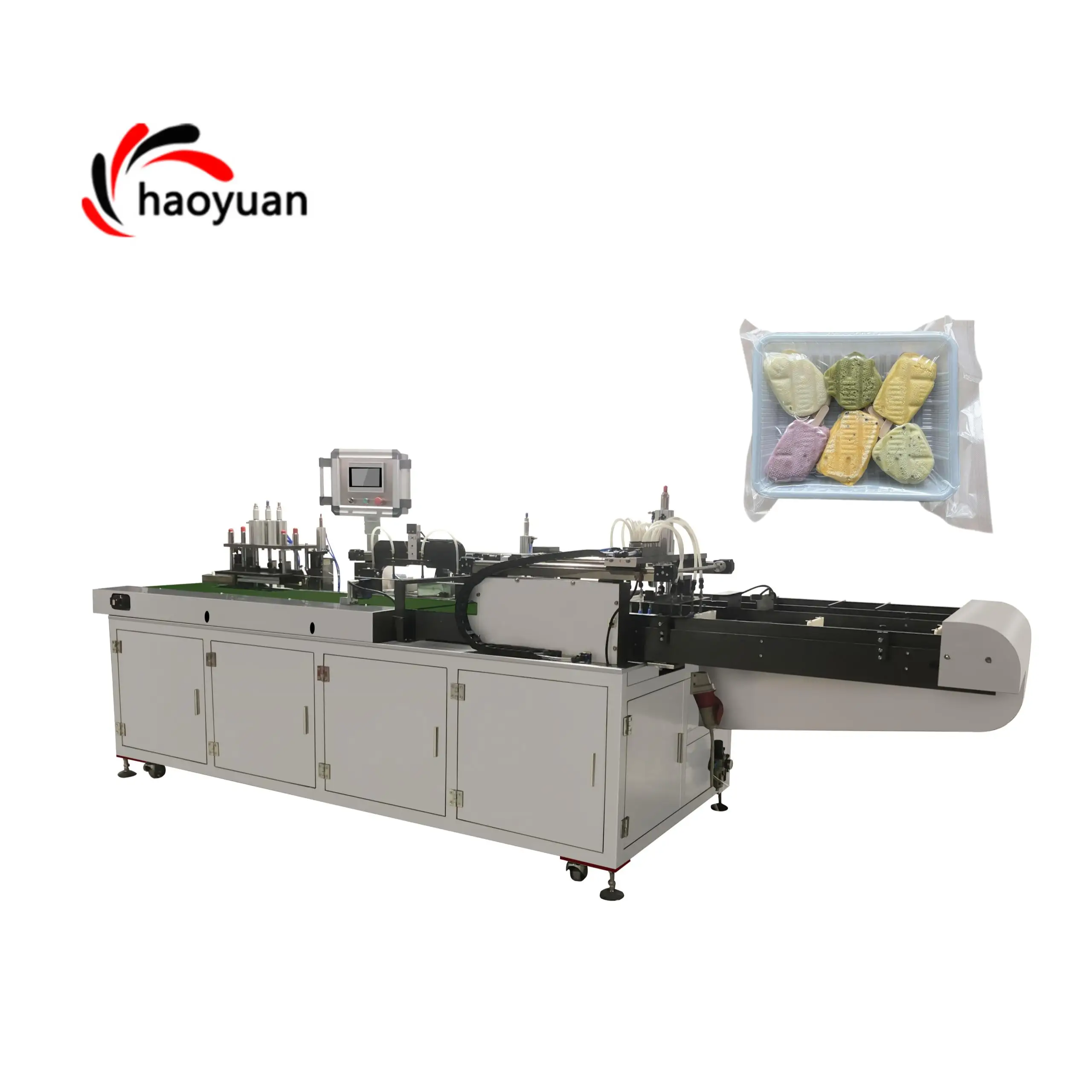 HYZK-100 Automatic vacuum packing machine for food vacuum sealer packaging machine