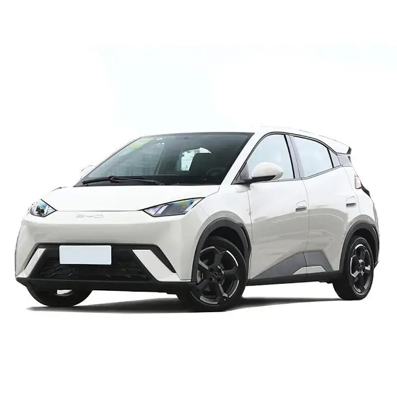 2023 байд Чайка 5-дверный 4-местный Электрический новый автомобиль 305 км небольшой Новая энергия