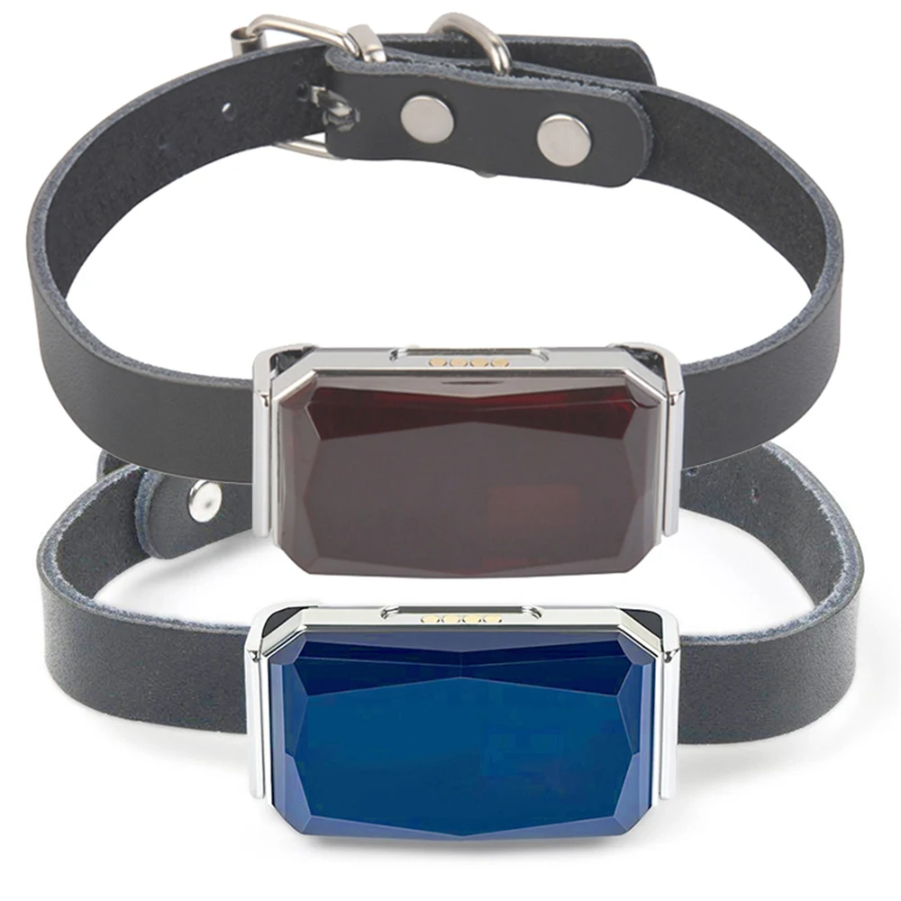 G12P Smart GSM+Wifi Waterproof mini GPS tracker for pet, support APP+Web+SMS tracking