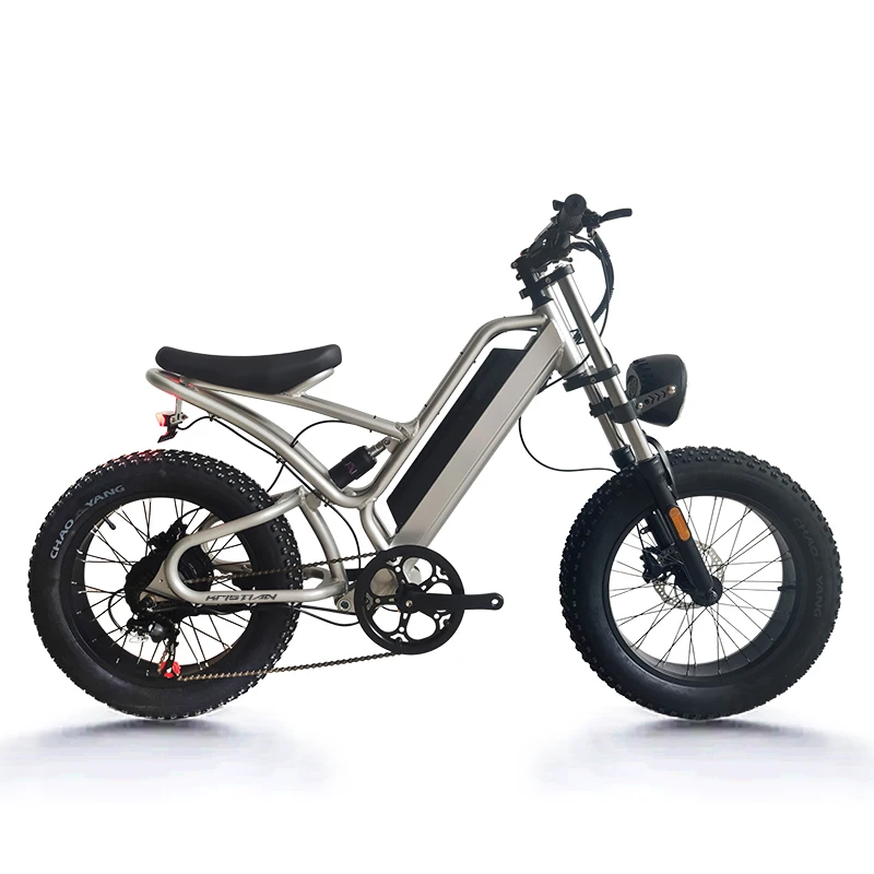Mini 20 Inch Professional Off-road Electric Bike Fat Tire E-bikes Mountain Bicycle Electric Off-road Dirt Bike Frame Motorcycle