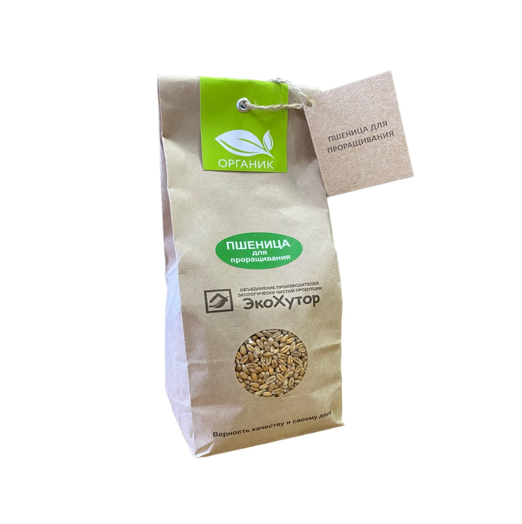 Organic Wheat for Sprouting Wheat Grain Max Soft Bag Style Packing COLOR Brown Natural Origin Type Milling Dried Product Place