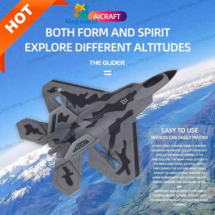 KW F22 BM08 2 Channels RTF Epp Foam Flying Jet Airplane Remote Control RC Air Plane For Sale