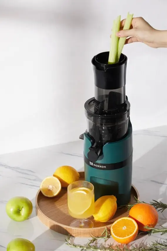 Custom Orange Electric Blender Carrot Extractor Machine Commercial Slow Juicer