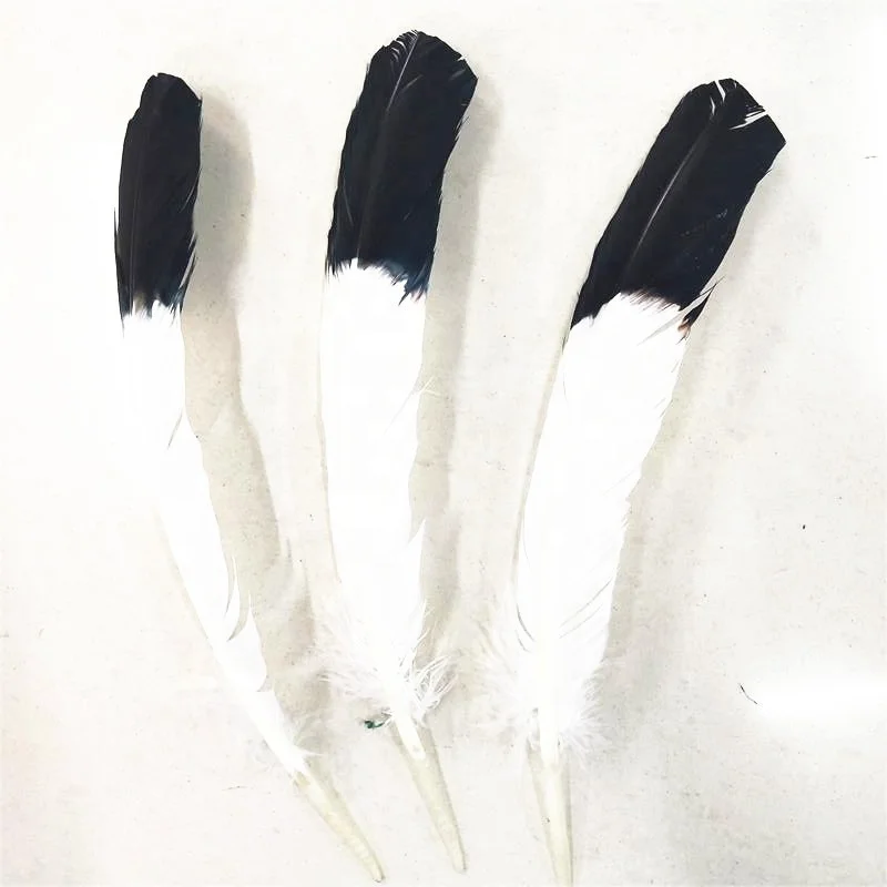 Hot sale white with black tip Colorful Turkey wing quill feathers for hats Millinery DIY decoration