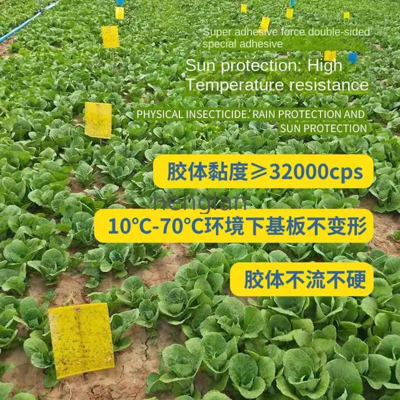 LL26 Non toxic plastic yellow sticky traps for insects pest control in agriculture