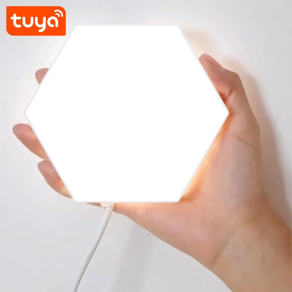 2024 Hot Selling Led RGBIC Tuya Smart WiFi Led Light with 6 led in a box PST-HL06