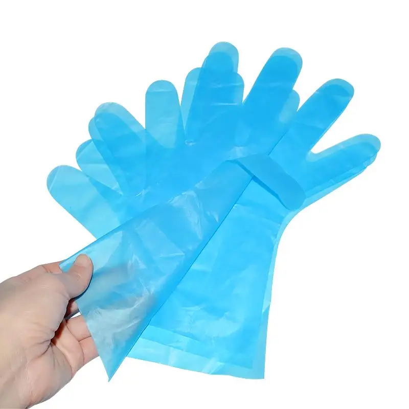 Plastic Poly Gloves Single Use Hand Covers for Food Safe Handling Preparation Kitchen Cooking