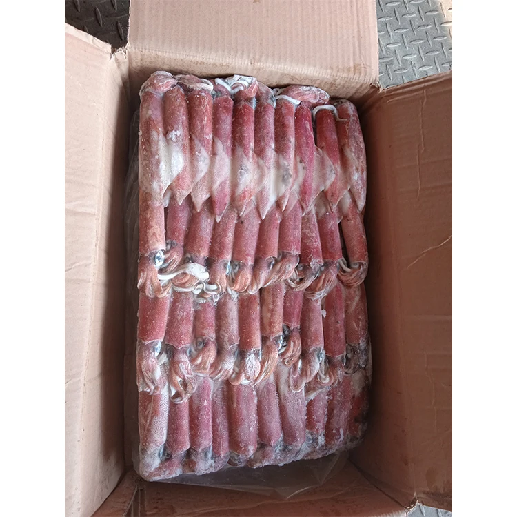 Новое поступление оптовая продажа морепродуктов SANFENG кальмары Замороженные Кальмары Loligo для