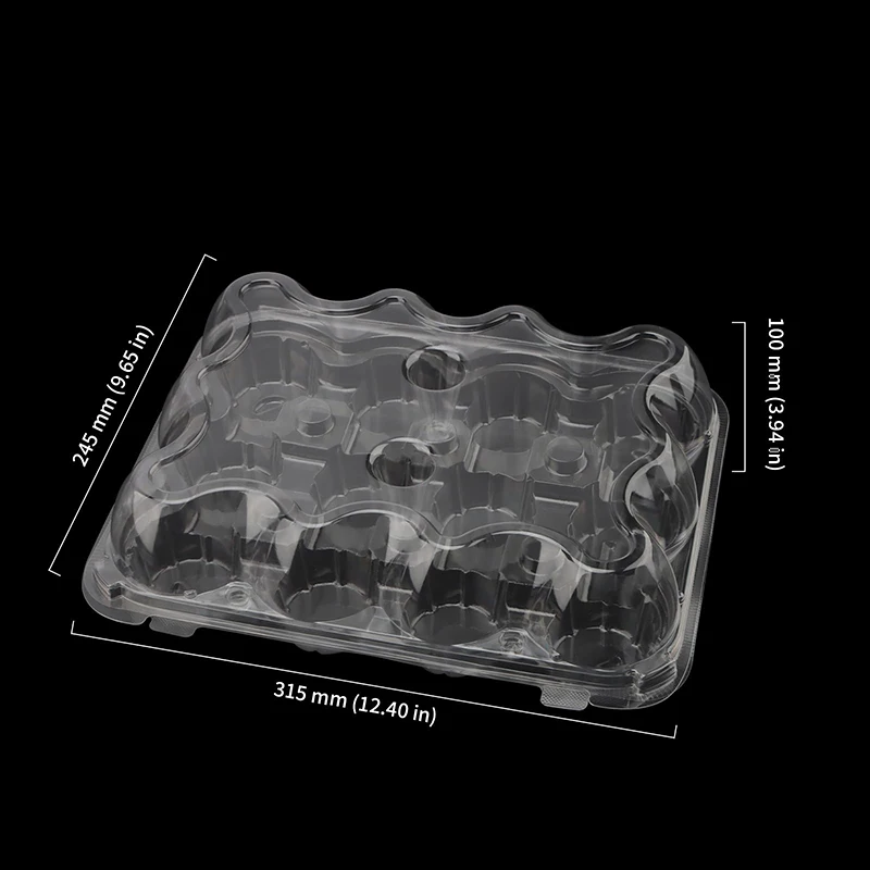transparent cupcake box pet 6t 12t 24t clear plastic clear cupcake boxes mini cup cake containers with dome
