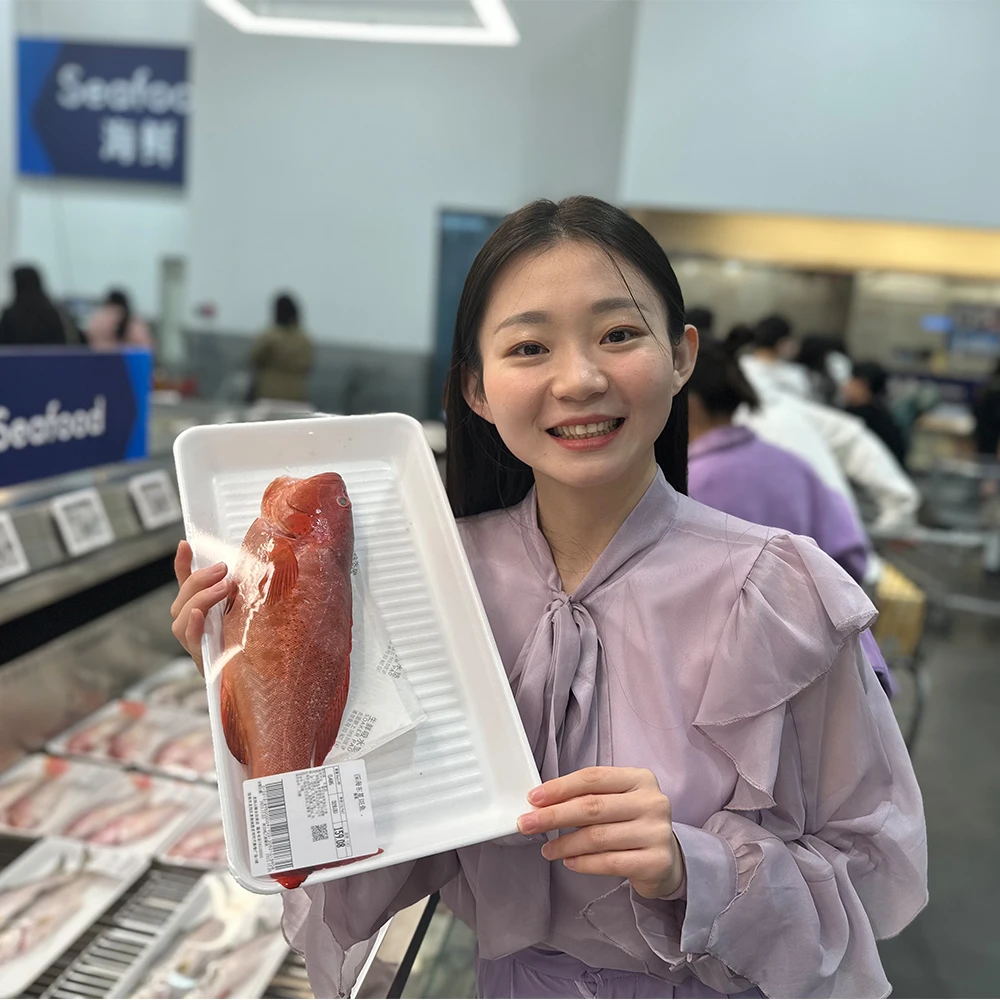 Sea food Pork Meat plastic package Food grade High quality Fresh Packaging PP Material Meat Display Tray