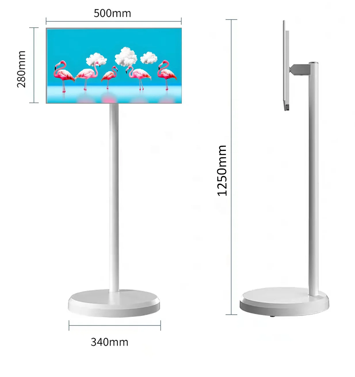 Smart Floor Standing  Intelligent Lcd Touch Screen 21.5 Inch  for online course live streaming