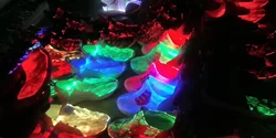 Professional manufacturer party show colorful rechargeable usb customized led light shoes for adults