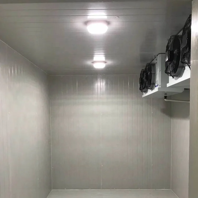 Movable Combined 20ft 40ft Reefer Container Cold Room for Storage