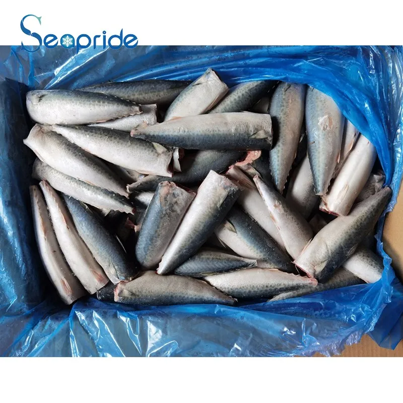 Scad Fish Suppliers Cheap Frozen Pacific Mackerel