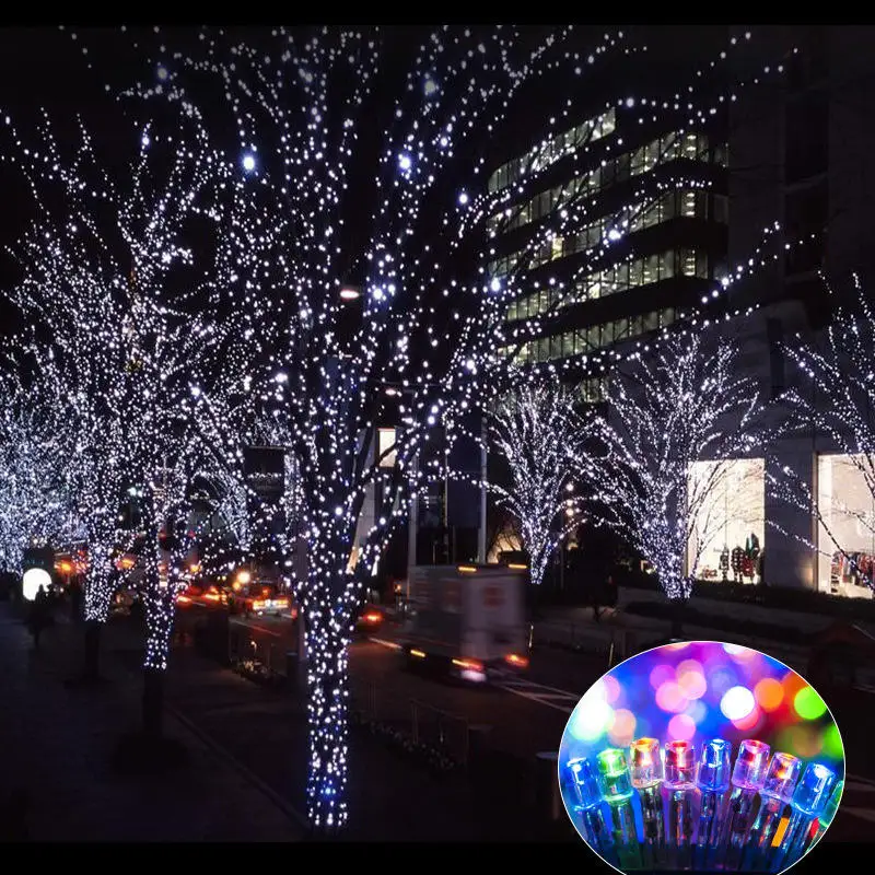 Outdoor Waterproof LED Christmas lights for interior and exterior decoration