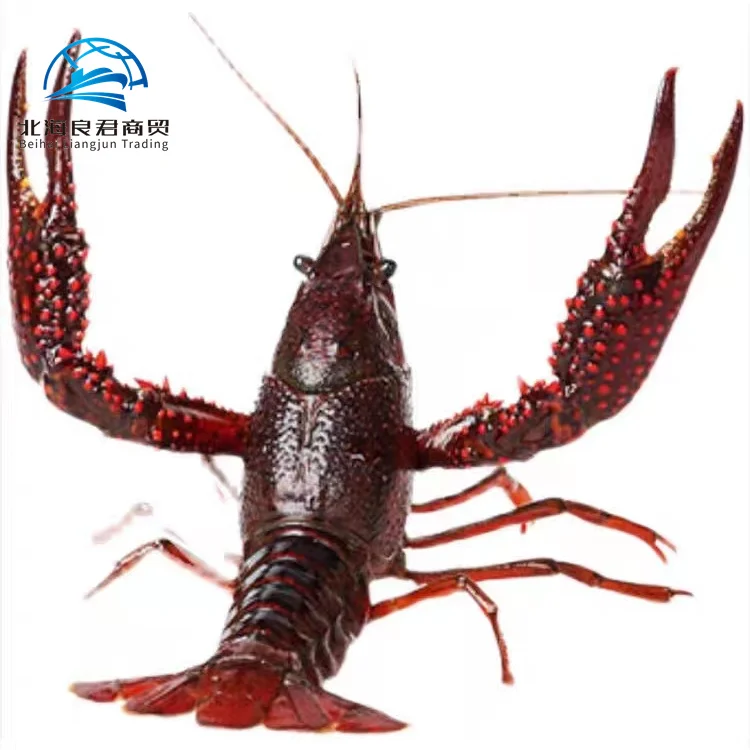 Hot selling Chinese  prefabricated dishes crayfish delicious spicy garlic minced crayfish
