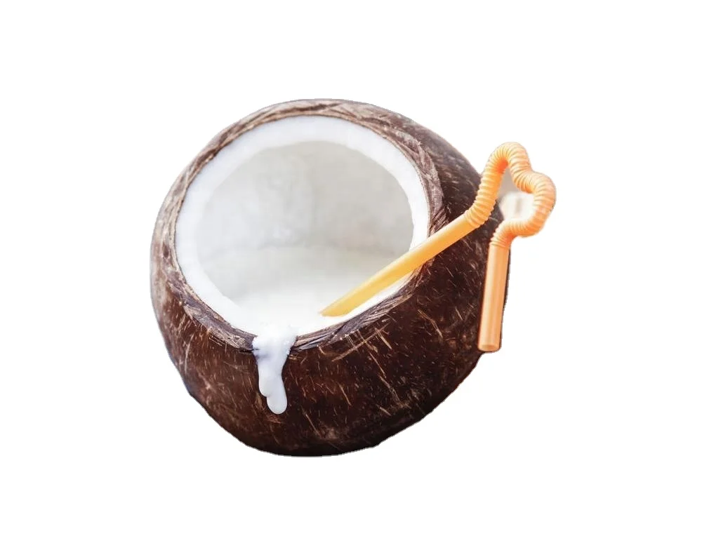 
Factory Supply Low Fat & High Fat Desiccated Coconut 