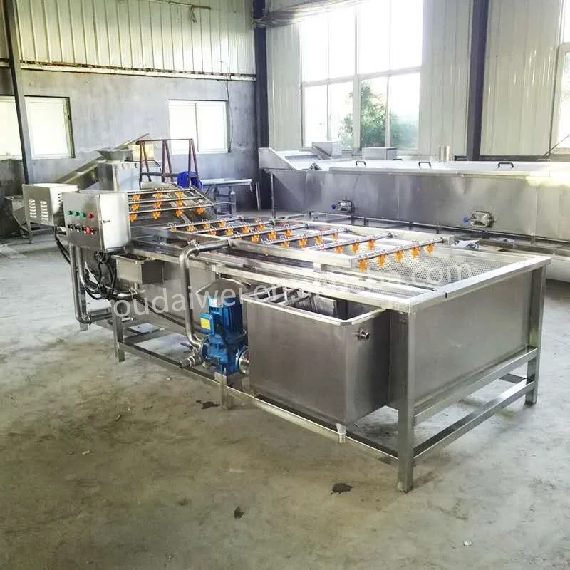 Automatic Industrial Bubble Coriander Squid Fruit Coconut Roller Large Scale Clean Wash Machine For Brush