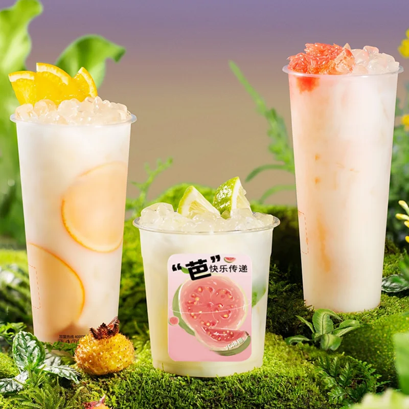 Lactic acid bacteria juice concentrate Fruit tea beverage ingredients