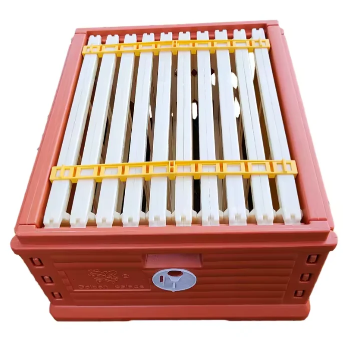 Wholesale  price 3 layers Langstroth Beehive Thermo Box for Bee Plastic Beehive