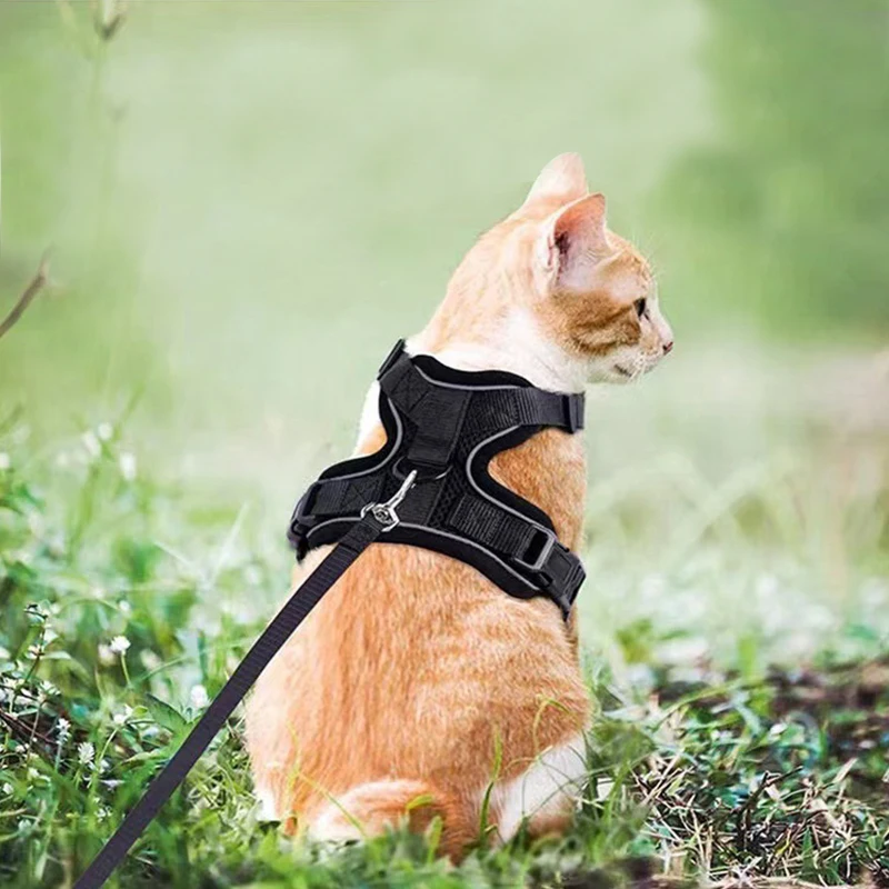 Easy Adjustable Pet Cat Harness And Leash Esca proof Vest Harness Leash Set Breathable Cat Jacket Cat Harness
