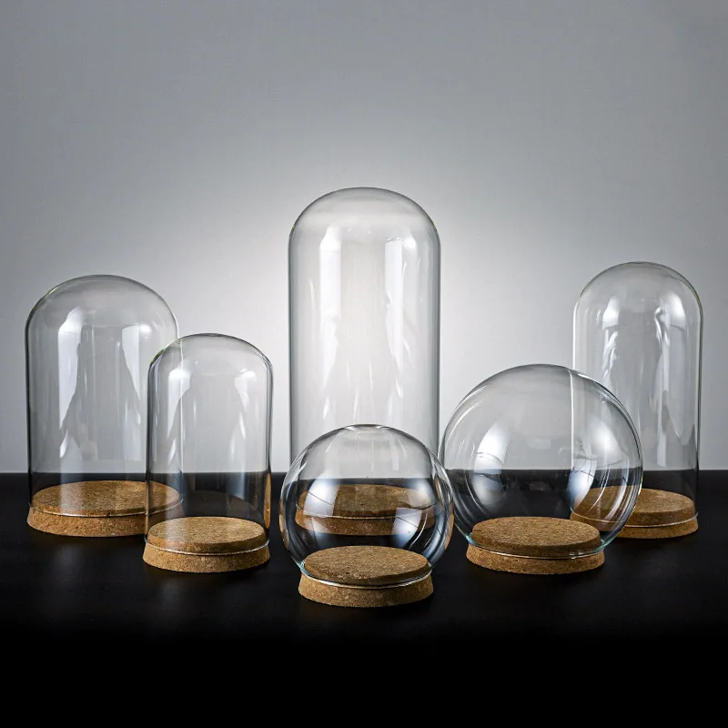 Amazo hot selling wholesale price available different sizes cork glass dome