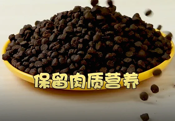 Source factory without intermediaries Nutritious Balanced Beef Flavor All Age Dry Cat Food