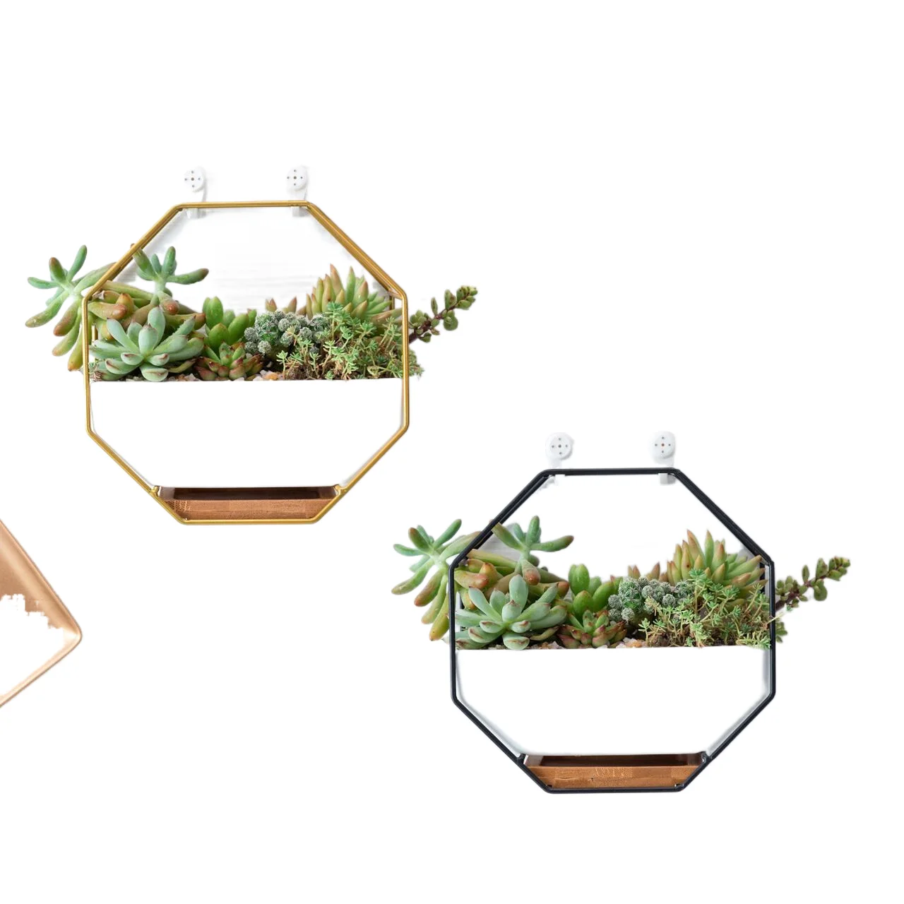Modern Ceramic Wall Planter Flower Golden Metal Frame & Tray for Succulents Air Plant Home Decor orchid pots