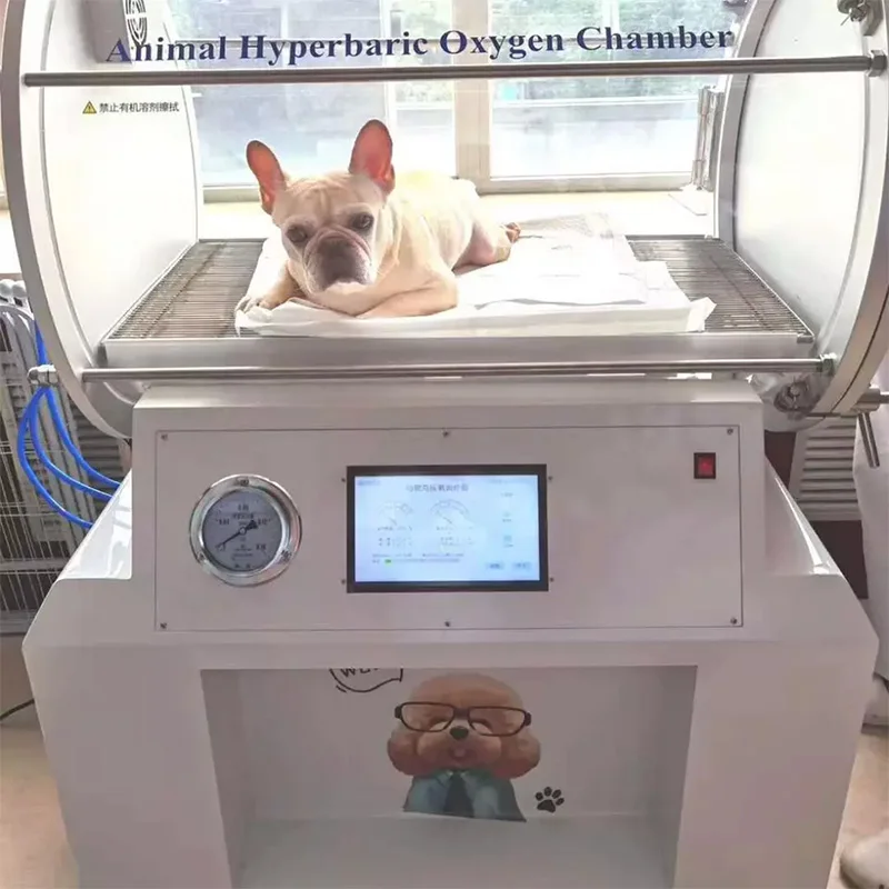 Ce Iso Advanced Pet Canine Oxygen Bar Veterinary Hyperbaric Oxygen Chamber