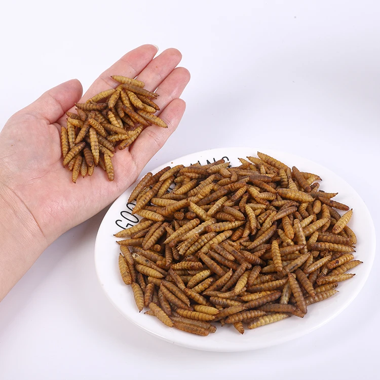 Premium Dried Black Soldier Fly Larvae - Nourishing Your Pets with Premium Insect Larvae  High protein and natural Pet food