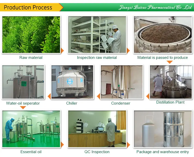 High Quality Cedarwood Terpene Essential Oil Cypress 100% Pure White Cedar Wood Oil for Perfume Fragrance Soap Cosmetic