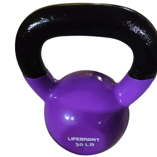 High Quality Kettle Bell Home Gym Equipment Fitness 30LB Vinyl Dipping Kettlebell
