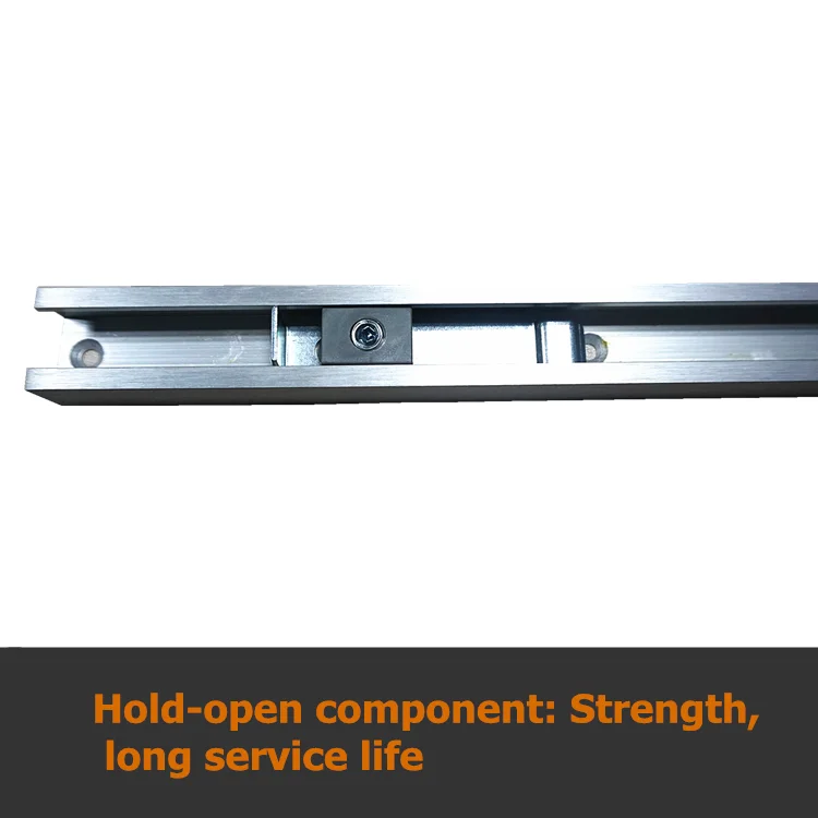 High Quality Hold Open Slide Rail Classic Concealed Aluminum Alloy Hydraulic Door Closer