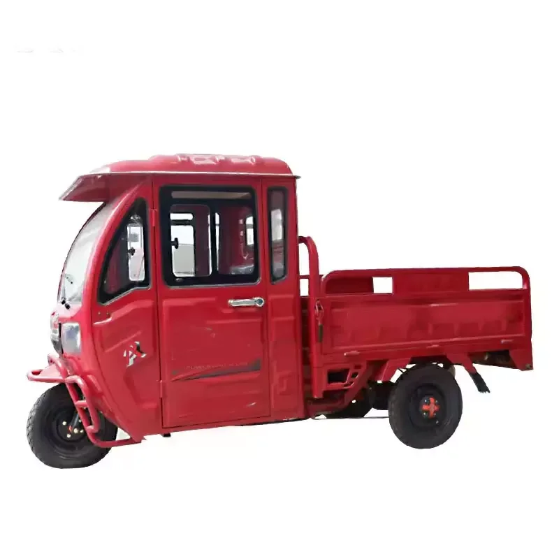 Made in China 2 Seat Electric Car Adult Mini Truck Cargo Tricycle Adult Cheap Delivery Electric Tricycle with Cover