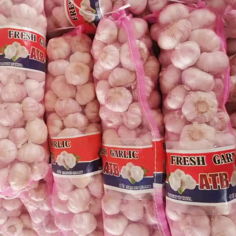 Chinese vegetables fresh garlic buyer 40 feet container