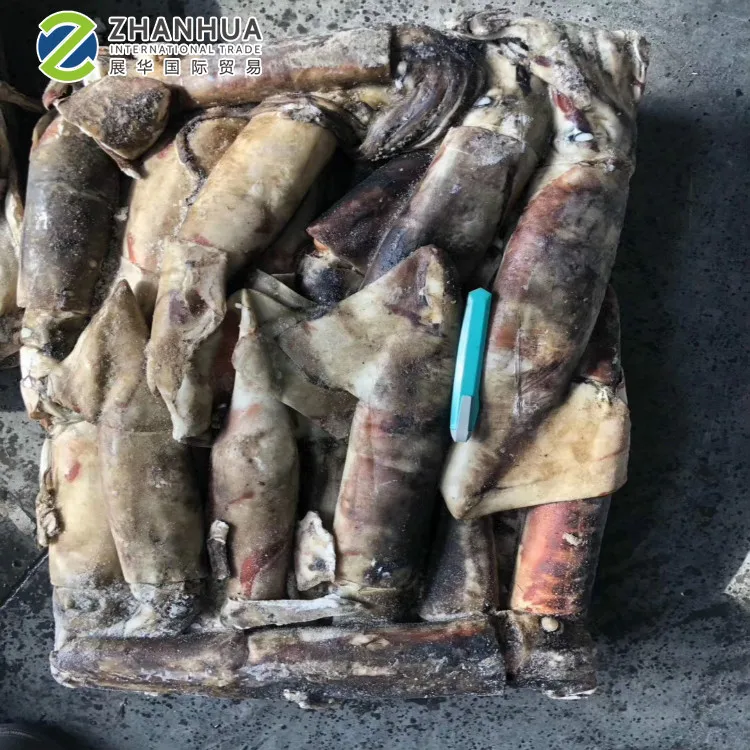 Экватор кальмар для наживки, мясо кальмара, замороженное на лодке, необработанный кальмар
