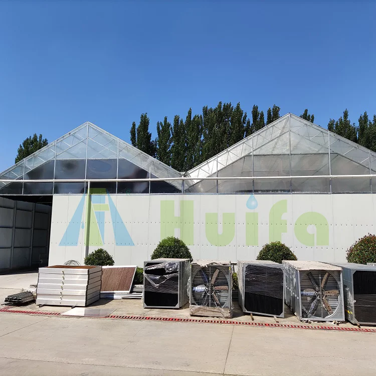 Most Favorable Price Black Out Green House Fully Automated Blackout Curtain Polycarbonate Light Dep Greenhouse In America