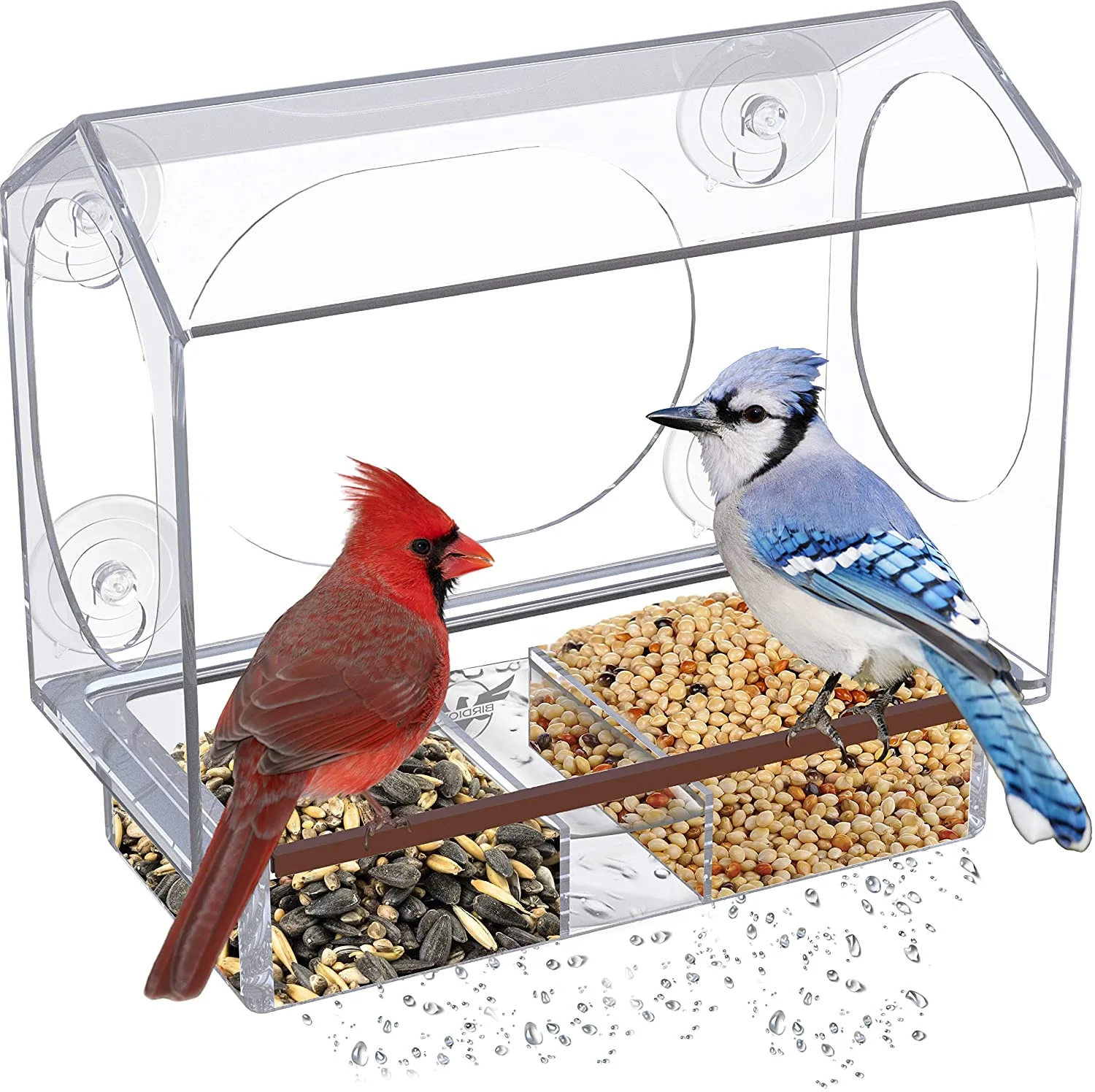 BSCI factory cross-border custom wholesale acrylic with trough bird feeder pet bird outdoor transparent bird cage feeder