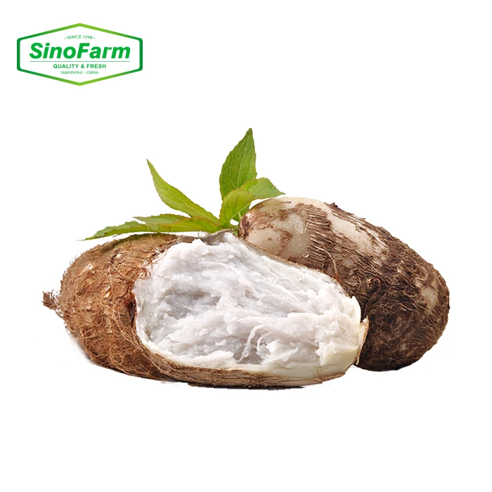 2022 New Crop Fresh Taro Factory Price Hot Sale Fresh Taro From China