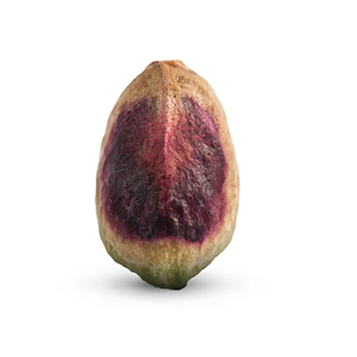 Premium natural high quality bulk dried pistachio nuts wholesale