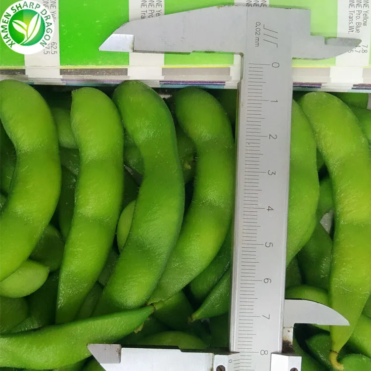 Wholesale bulk iqf frozen vegetable soybean