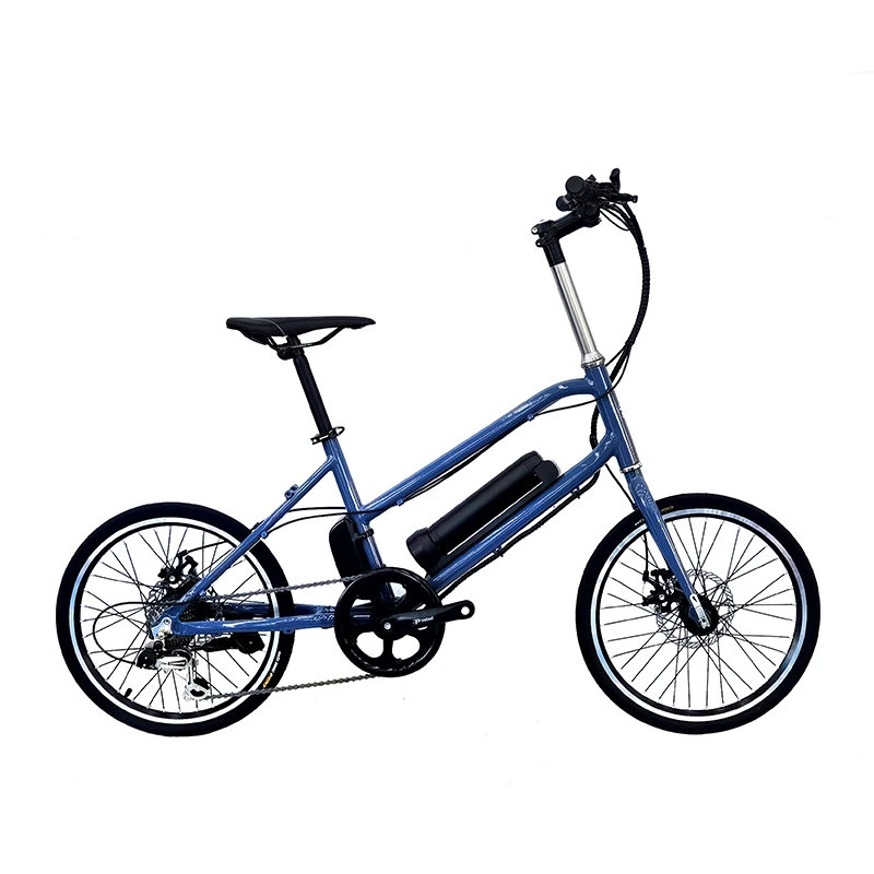 Hot sale urban 20 inch 48V  1000W electric bicycle rear motor hub e bike 800w 16 inch electric city bike