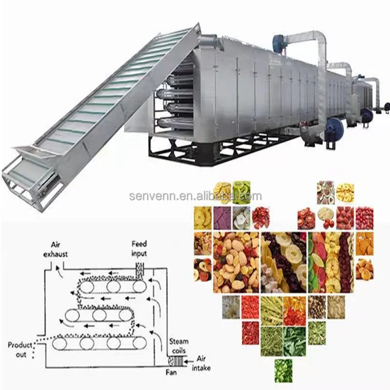 Mesh-Belt continuous Drying machine for Dehydrated vegetables and mango dryer