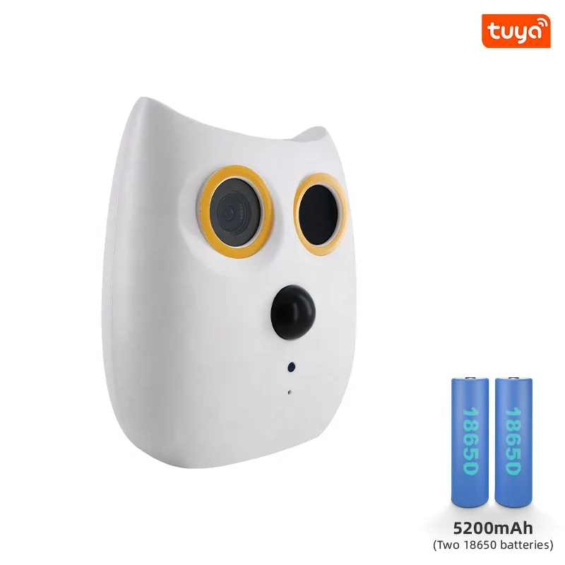 Battery 1080P HD IP66 Waterproof Home CCTV Security IP Wireless Smart Wifi TUYA PIR Monitoring Camera