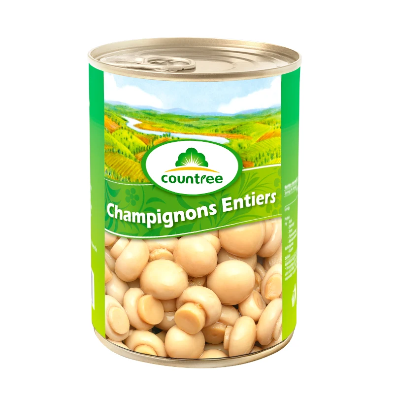Factory Price Canned Food Canned Vegetable Canned Mushroom Salty