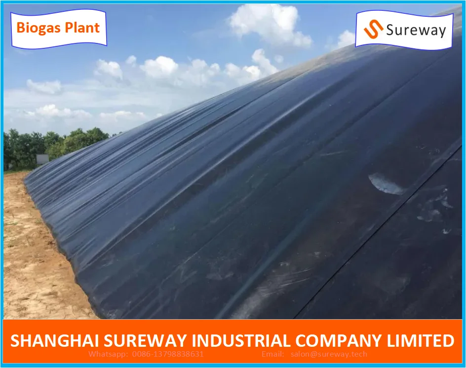 HDPE Geomembrane Lagoon Animal Waste Biogas Digester Plant