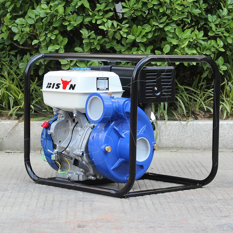 BISON(CHINA) Farm Irrigation Pumps Fire Fighting Pump Portable Centrifugal High Pressure Pump