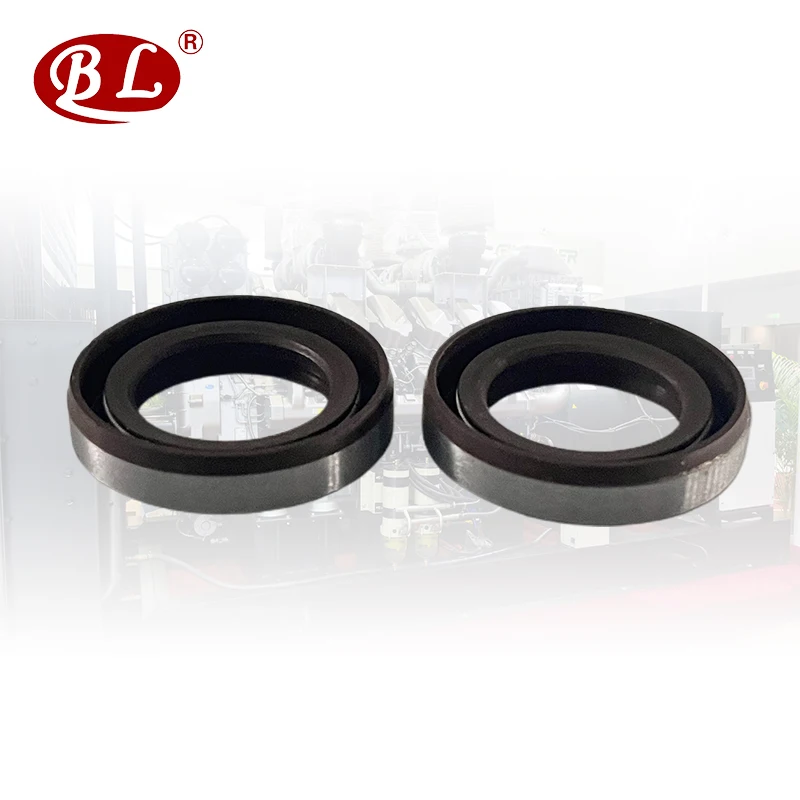 TBR oil Seal 20-30-7