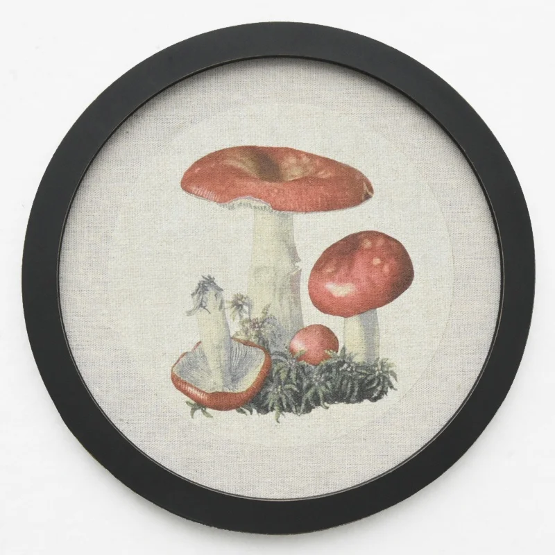 Farmhouse living Room Decor Light luxury Retro Mushroom Painting Wall Art for Home Decor Mushroom Aesthetic Hanging Wall Art