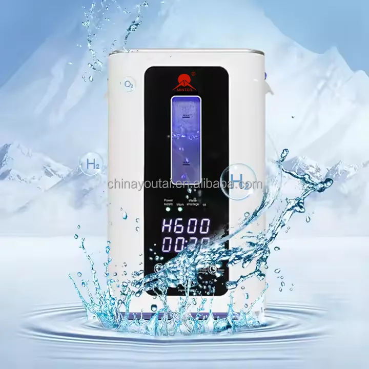 Home Medical Equipment Hydrogen Generator 99.99% H2 purity 300ml/min to 900ml/min AC110V/220V exporting to Middle East